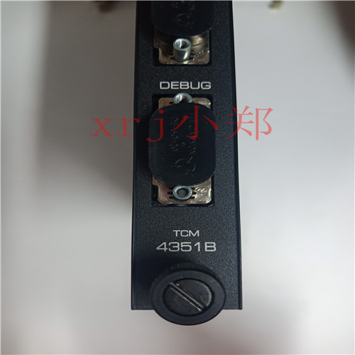 4351B 输出面板 TRICONEX