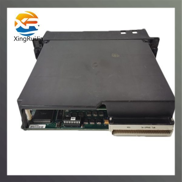 GE DS200RTBAG2A 继电器端子板