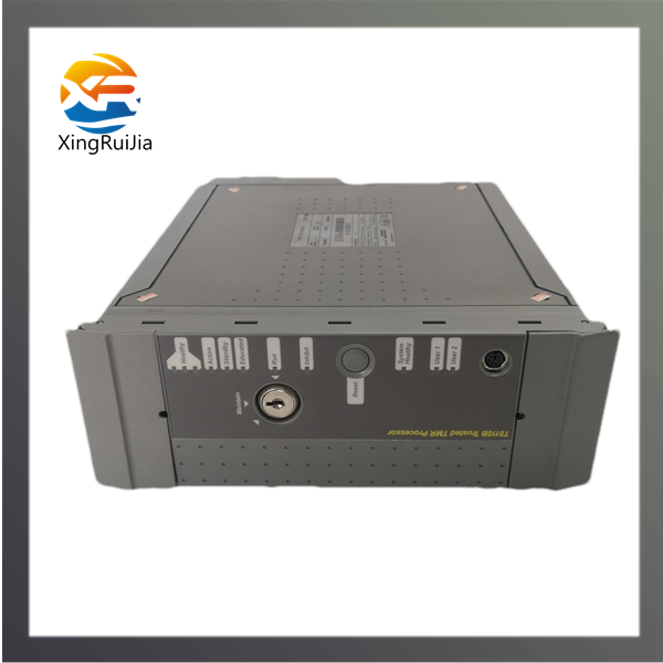 ICS TRIPLEX T8082U 自动化组件