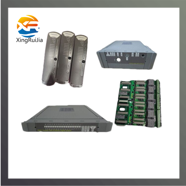 ICS TRIPLEX T8151B 接口模块