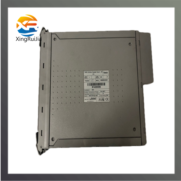 ICS TRIPLEX T9432 模块