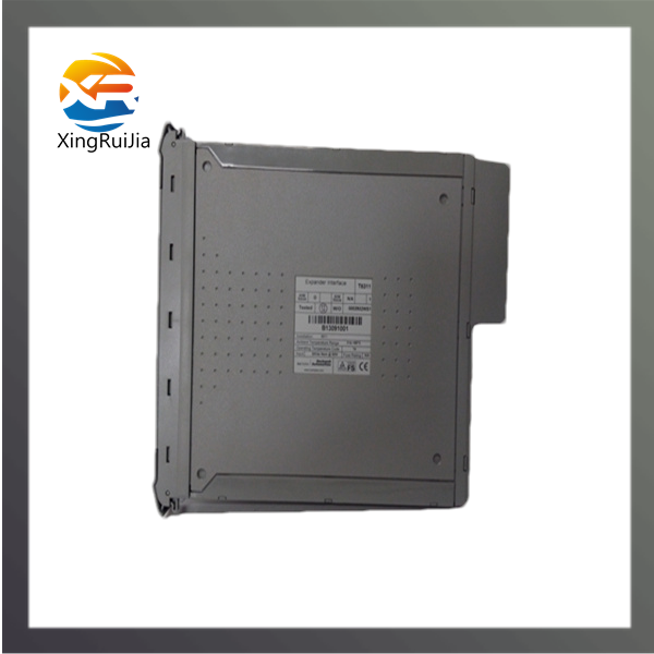 ICS TRIPLEX TC-215-01-4M5 数字输入模块