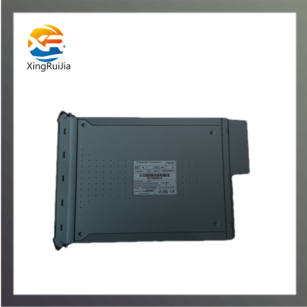 ICS TRIPLEX TC-215-01-6M5 数字输入/输出模块