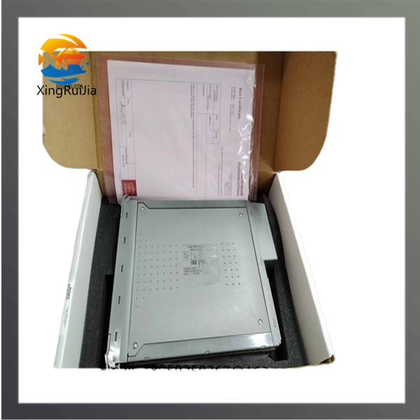ICS TRIPLEX TC-301-02-2M0 输入/输出模块