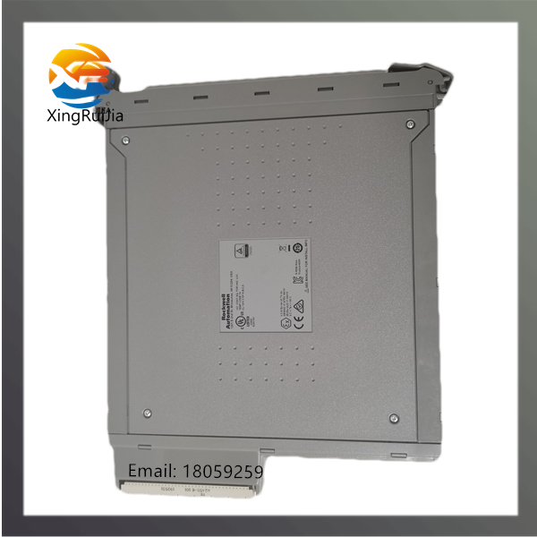 ICS TRIPLEX TC-306-02 系统模块